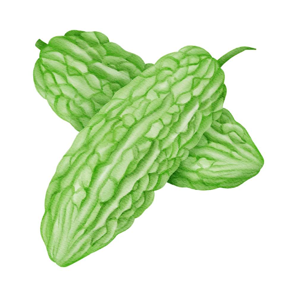 Fresh Bitter Melon