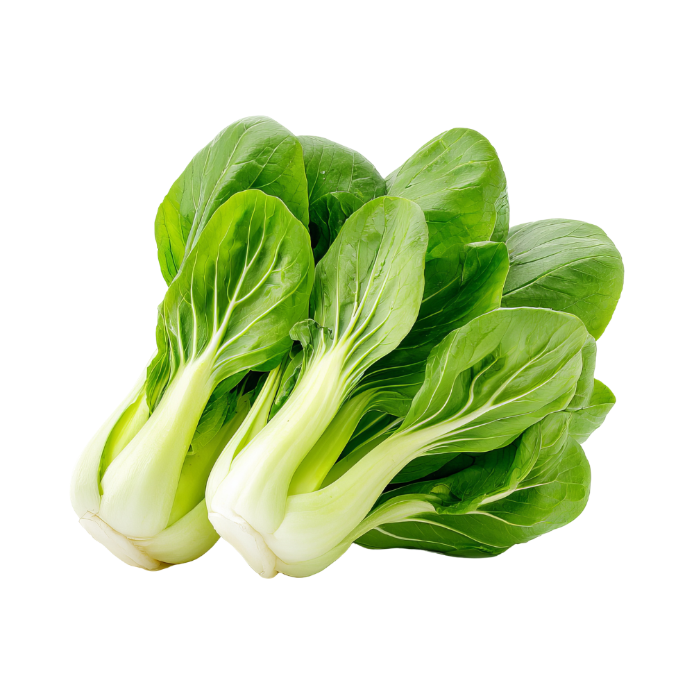 Fresh Bok Choy
