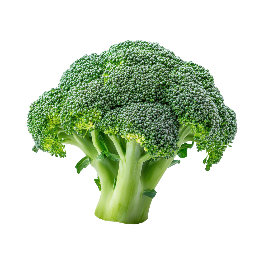 Fresh Broccoli Crowns