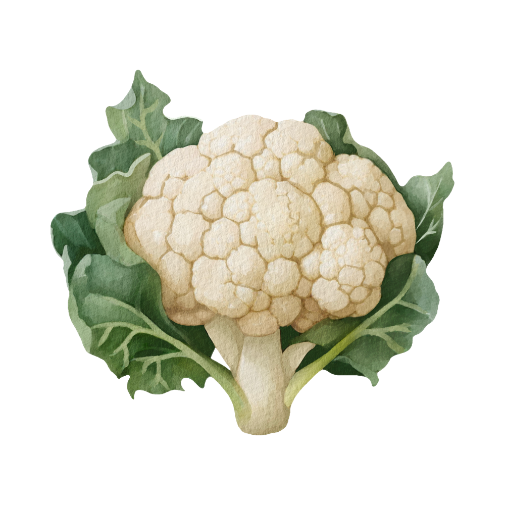 Fresh Cauliflower
