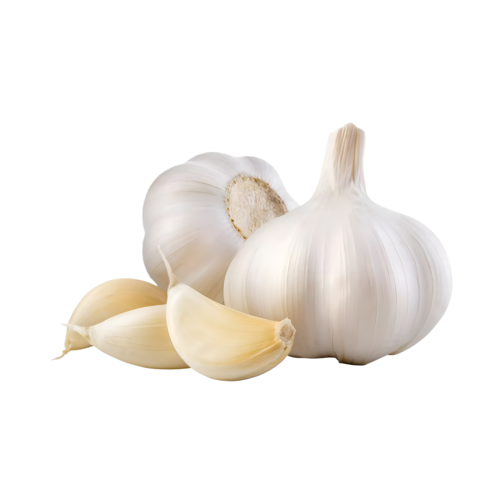 Fresh Garlic Bulbs