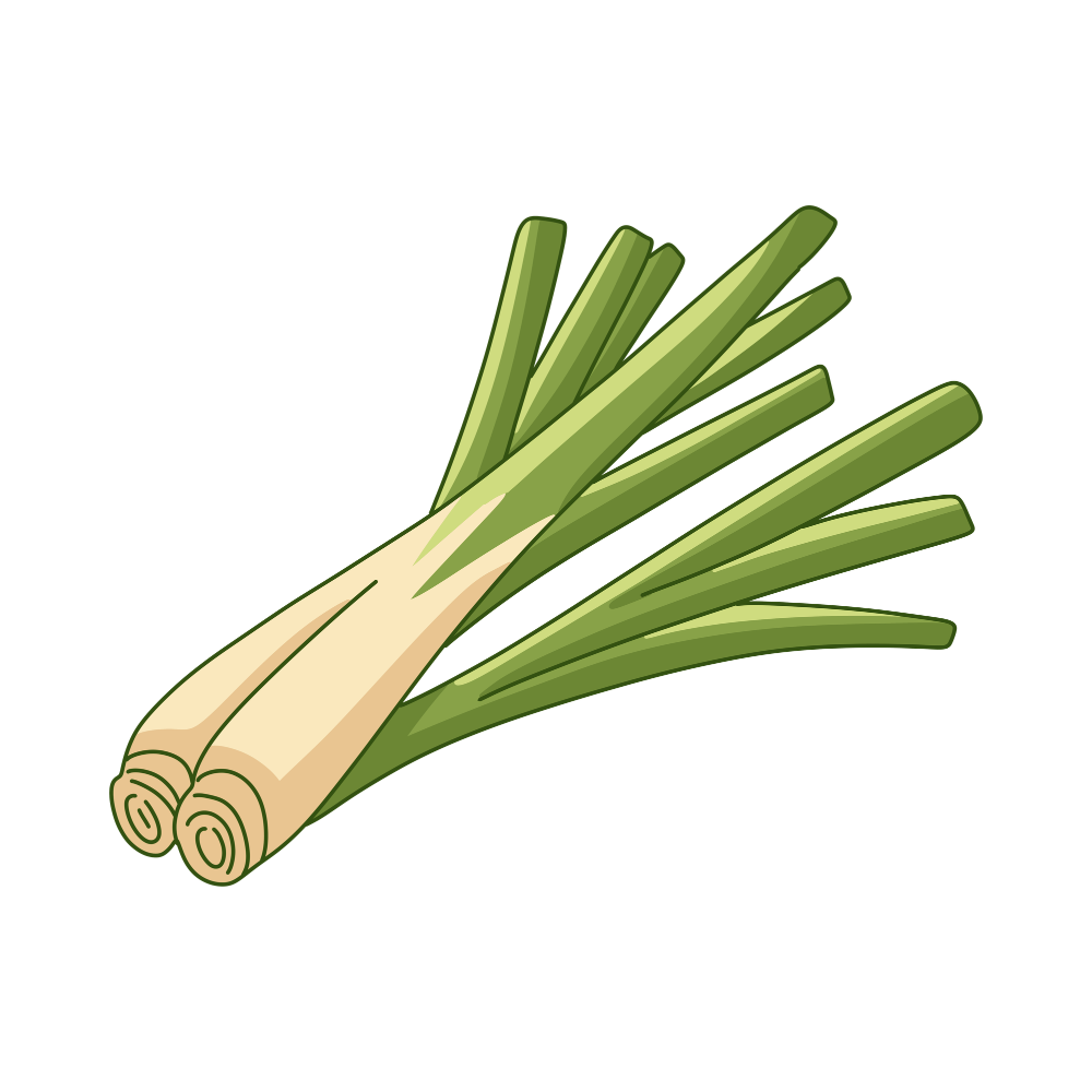Fresh Lemongrass Stalks