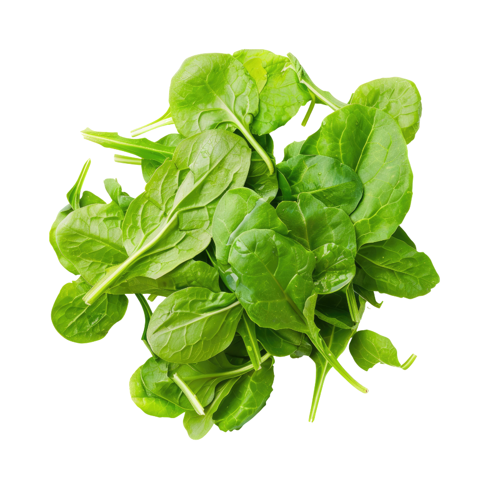 Fresh Organic Baby Spinach