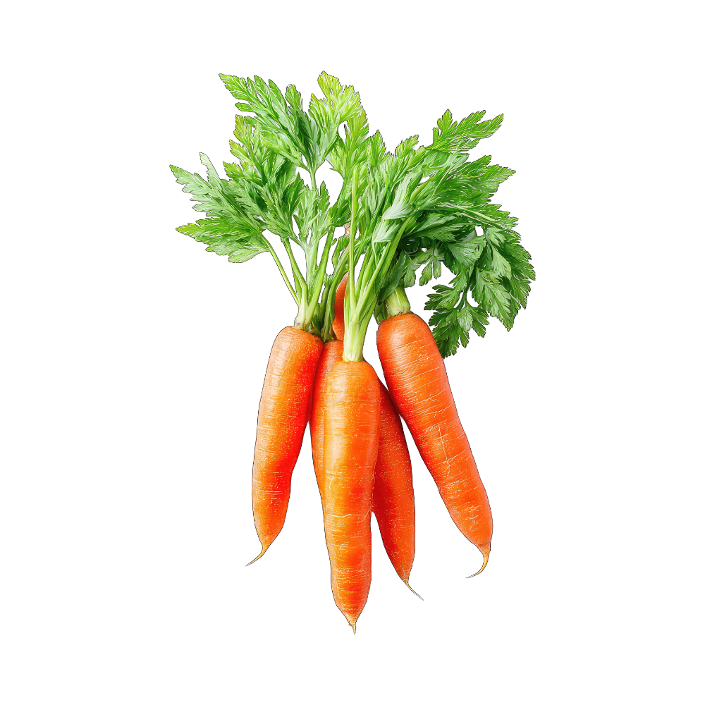 Fresh Organic Carrots