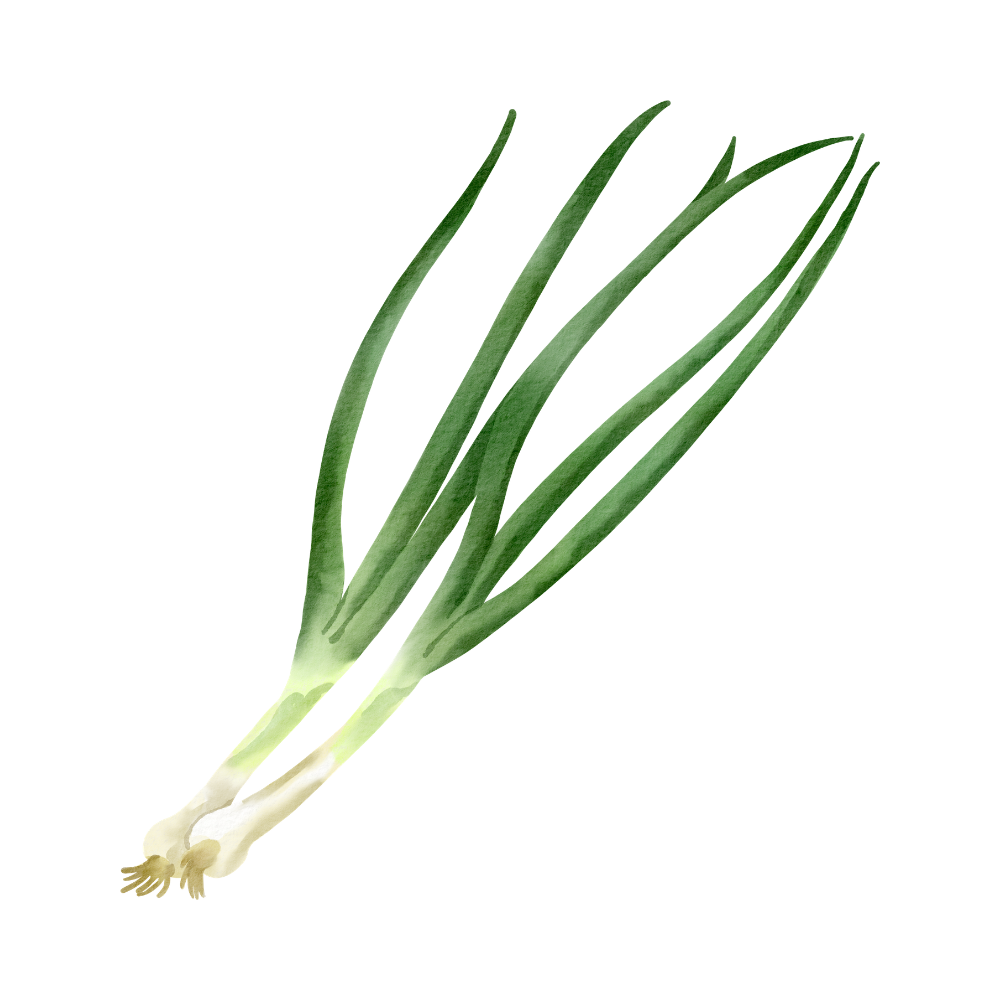Fresh Spring Onions