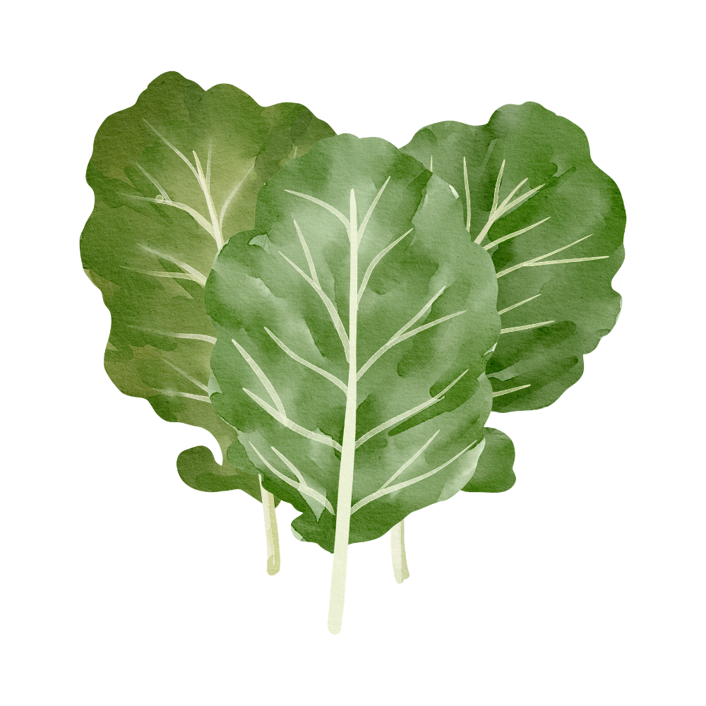 Organic Collard Greens