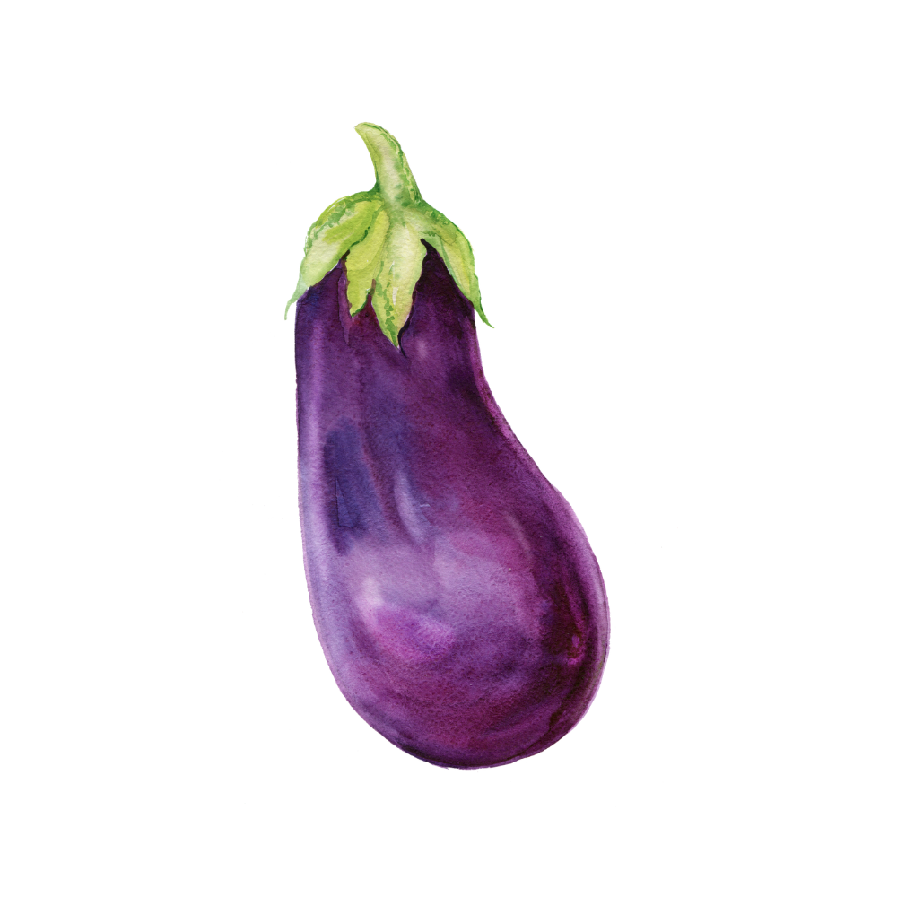 Organic Eggplant