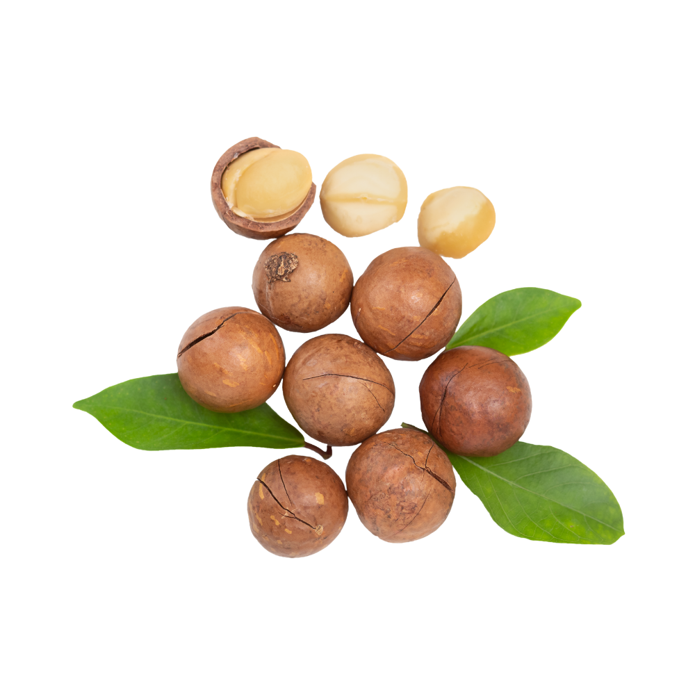Organic Macadamia Nuts