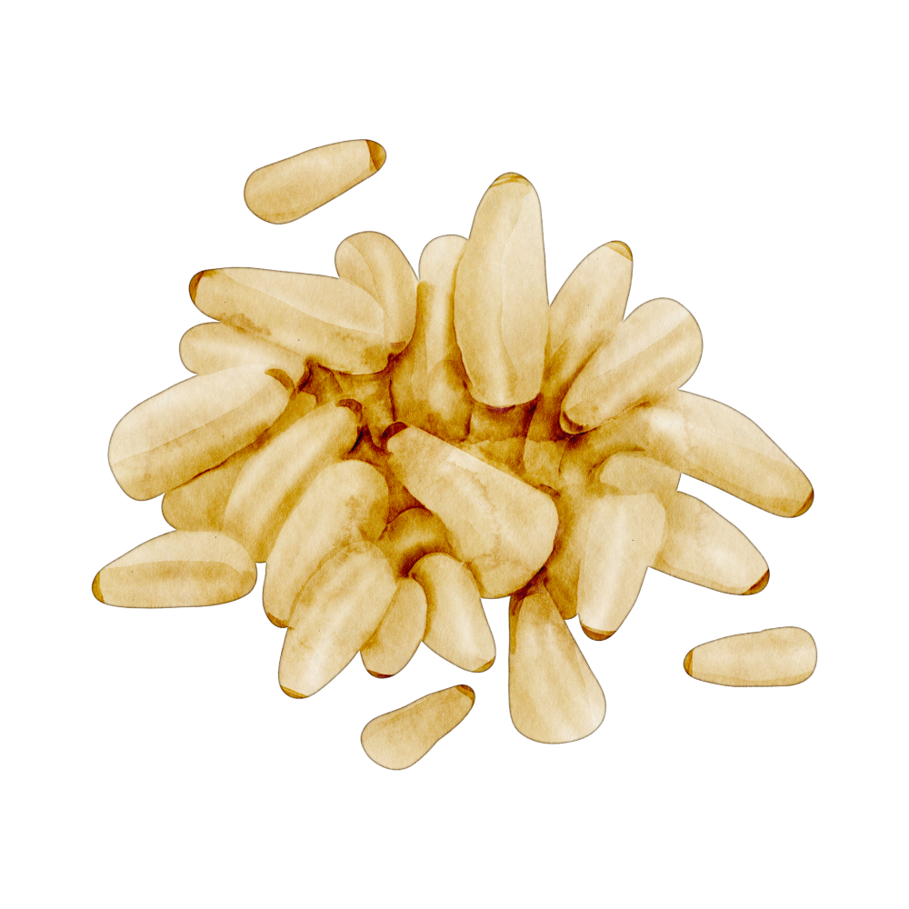Organic Pine Nuts