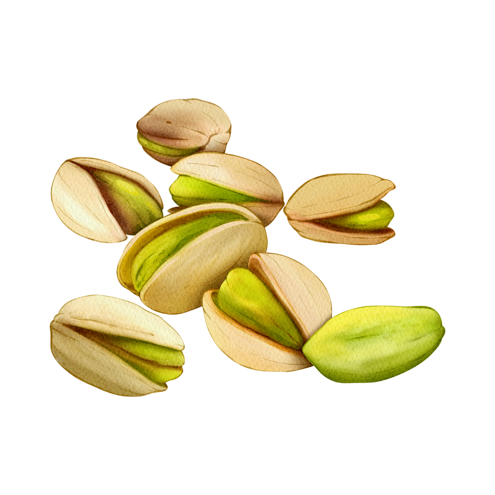 Organic Pistachios In-Shell