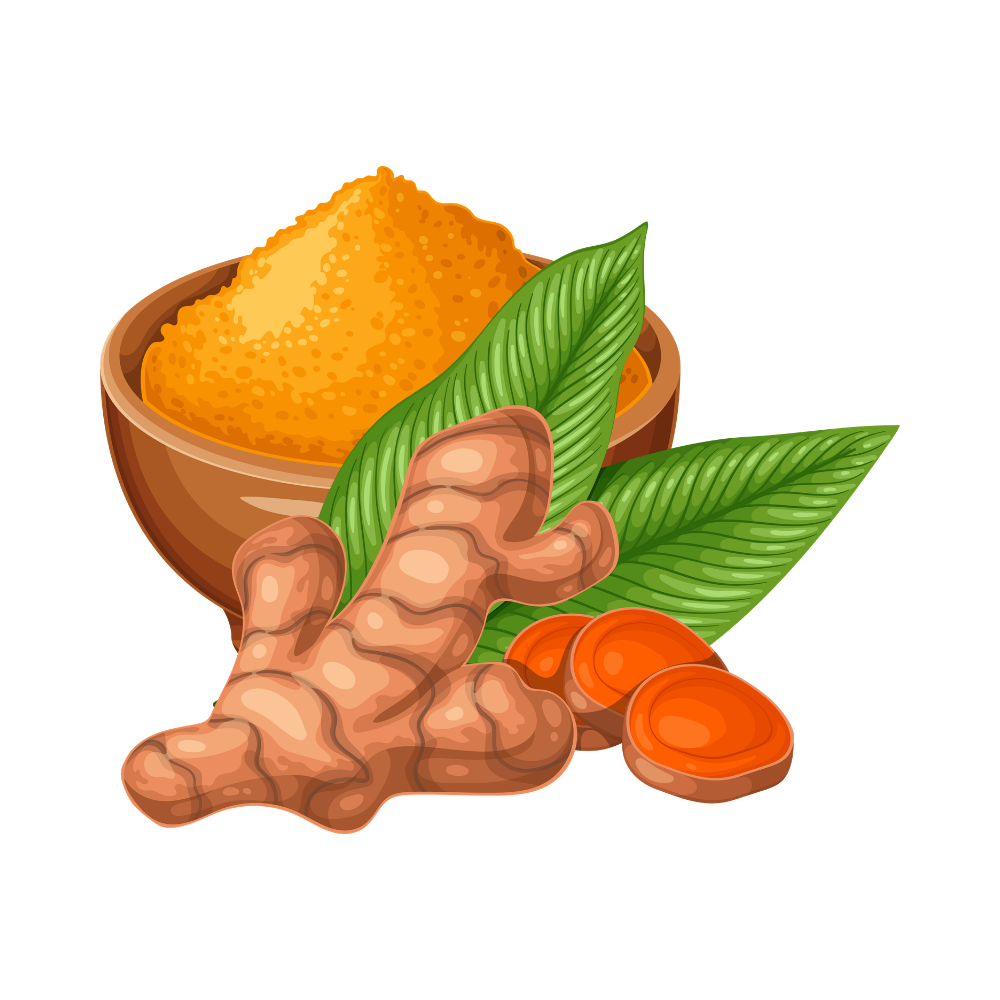 Organic Turmeric Root
