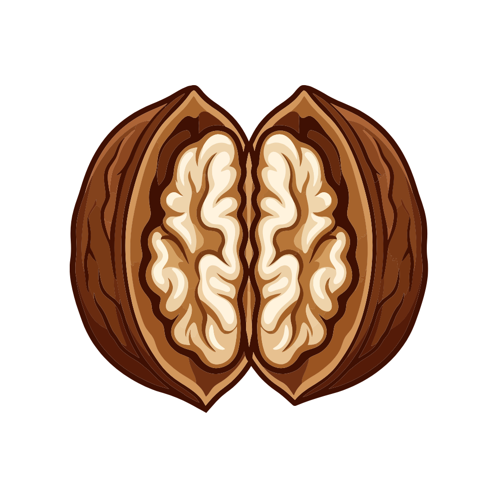 Premium Walnut Halves