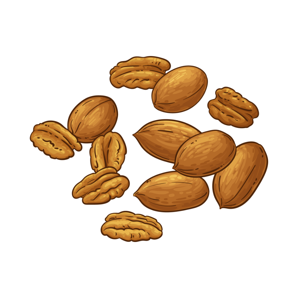 Shelled Brazil Nuts