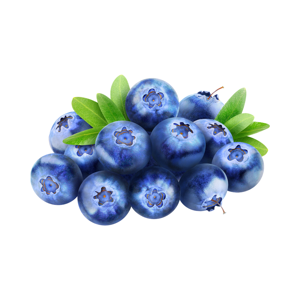 Sweet Organic Blueberries